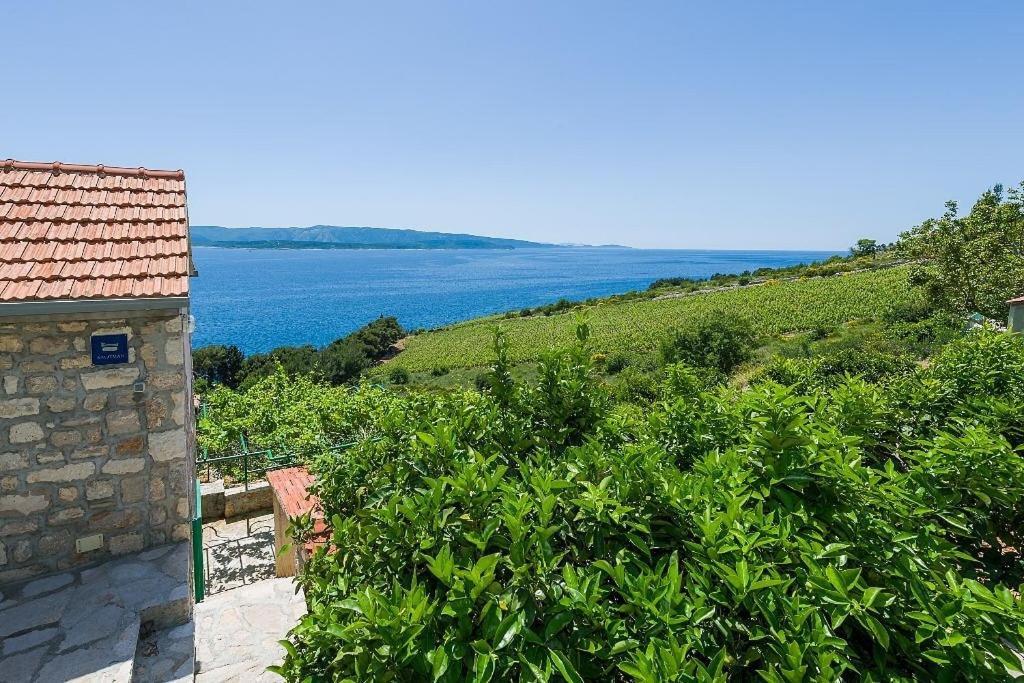 Vineyard Cottages - Murvica Szoba fotó